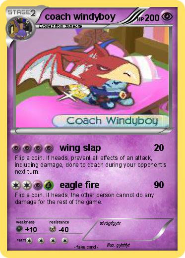 Pokemon coach windyboy