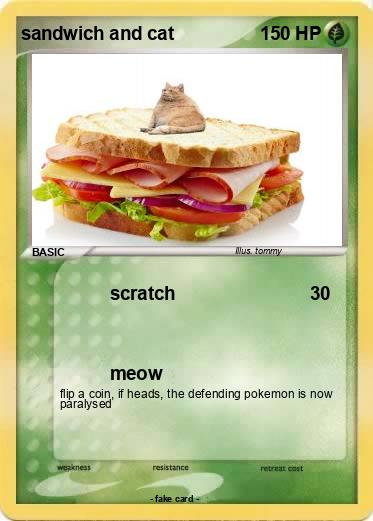 Pokemon sandwich and cat