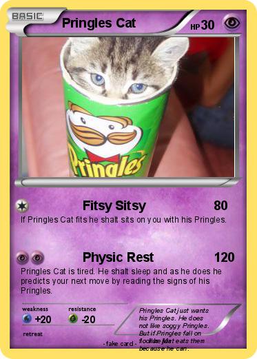 Pokemon Pringles Cat