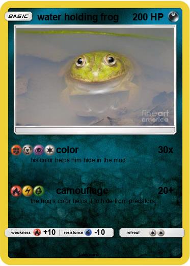 Pokemon water holding frog