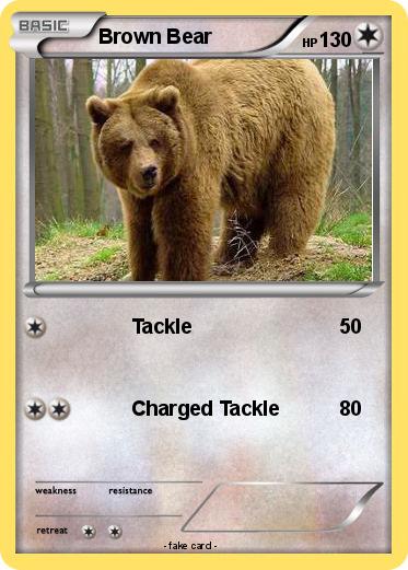 Pokemon Brown Bear