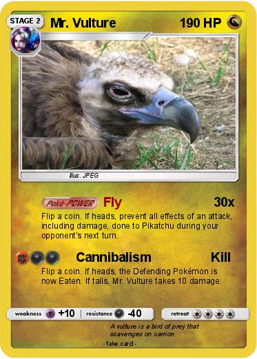 Pokemon Mr. Vulture