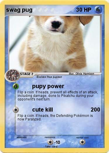 Pokemon swag pug