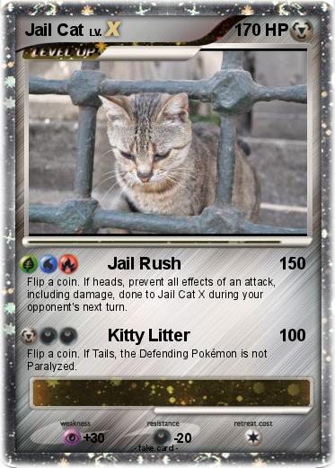 Pokemon Jail Cat