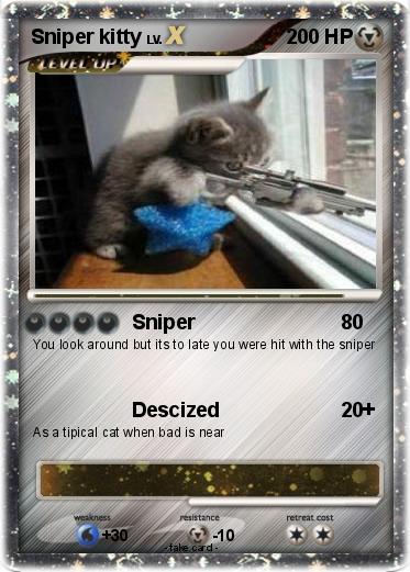 Pokemon Sniper kitty