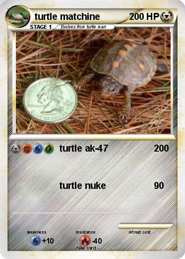 Pokemon turtle matchine
