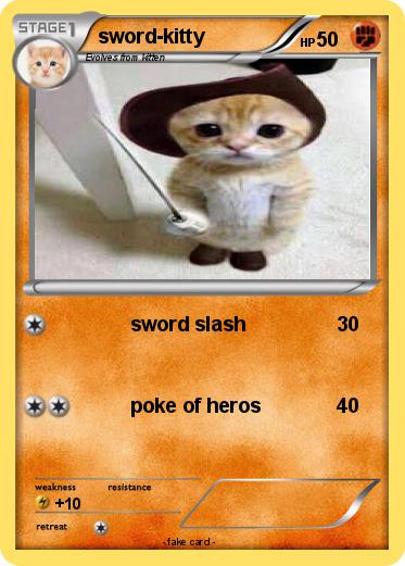 Pokemon sword-kitty