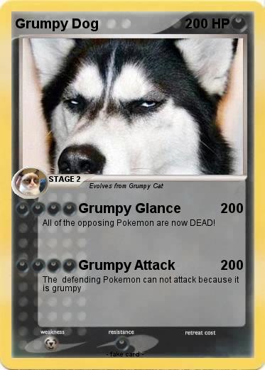 Pokemon Grumpy Dog