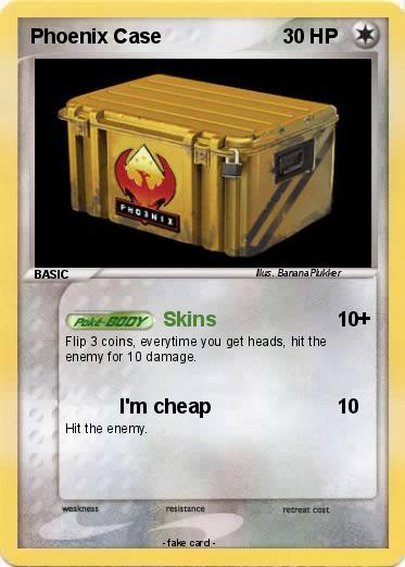 Pokemon Phoenix Case
