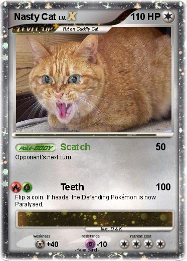 Pokemon Nasty Cat