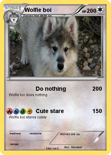 Pokemon Wolfie boi