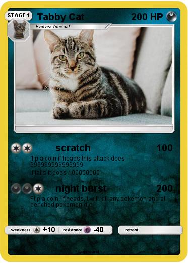 Pokemon Tabby Cat