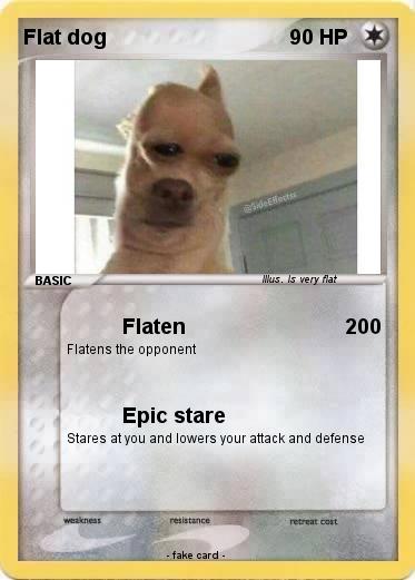 Pokemon Flat dog