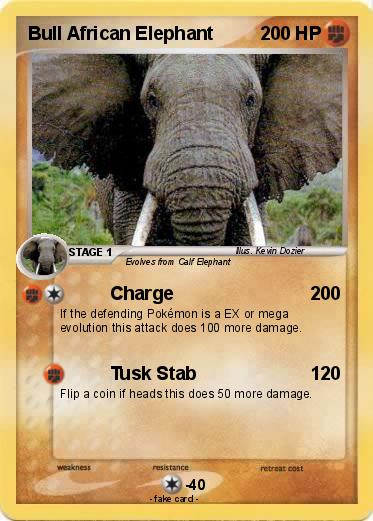 Pokemon Bull African Elephant