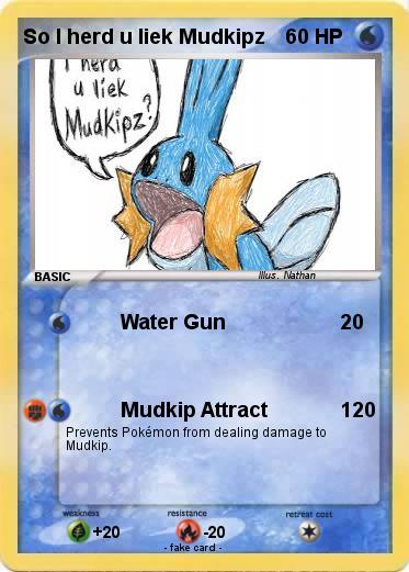 Pokemon So I herd u liek Mudkipz