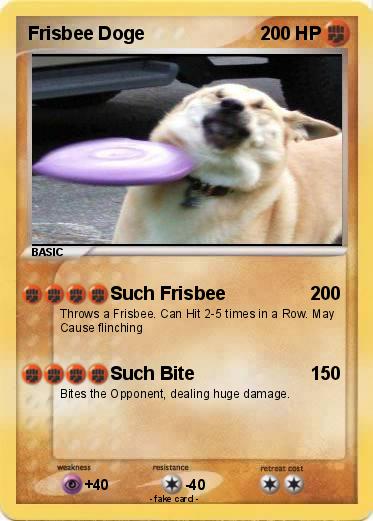 Internet Bids Sad Farewell To Frisbee Doge A Meme Among Canines