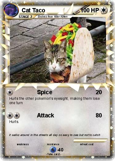 Pokemon Cat Taco