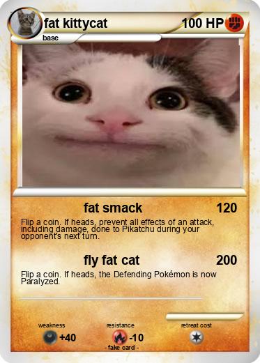 Pokemon fat kittycat