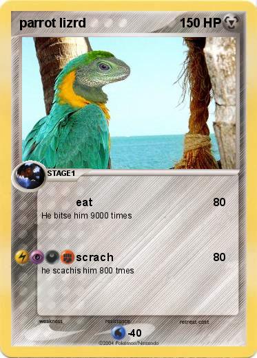 Pokemon parrot lizrd