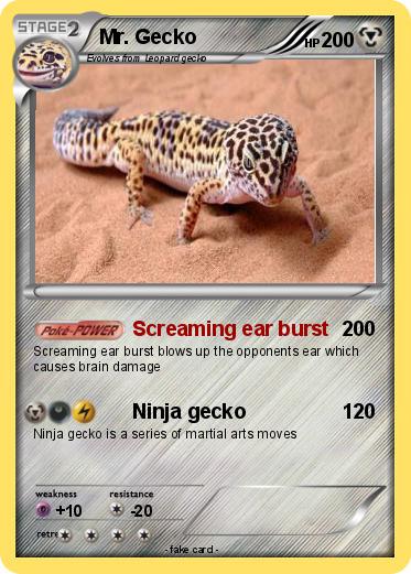 Pokemon Mr. Gecko