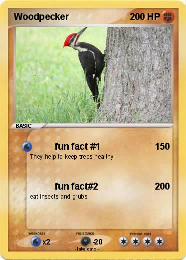 Pokemon Woodpecker