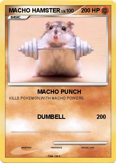 Pokemon MACHO HAMSTER
