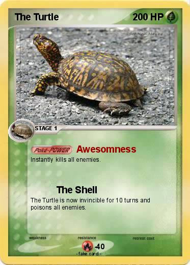 Pokemon The Turtle