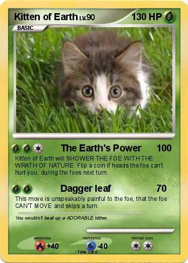 Pokemon Kitten of Earth