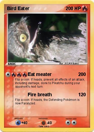 Pokemon Bird Eater