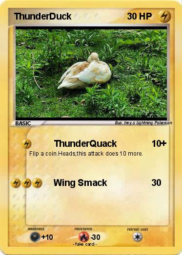 Pokemon ThunderDuck