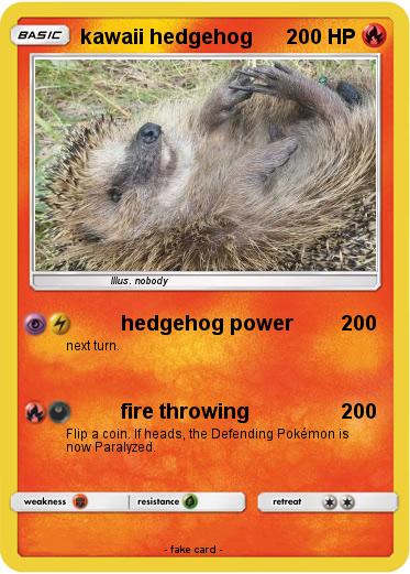 Pokemon kawaii hedgehog