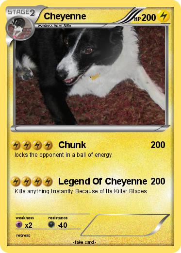 Pokemon Cheyenne