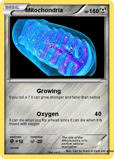 Pokemon Mitochondria