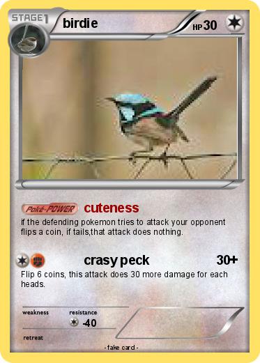 Pokemon birdie