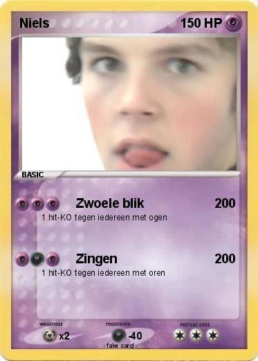 Pokemon Niels