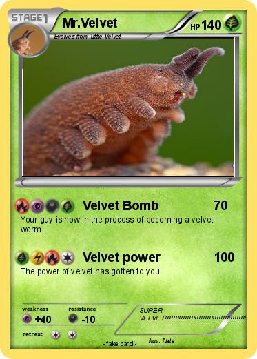 Pokemon Mr.Velvet