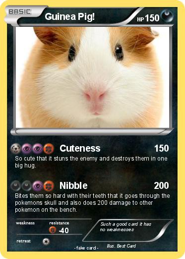 Pokemon Guinea Pig!