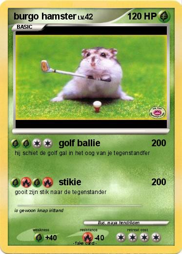 Pokemon burgo hamster