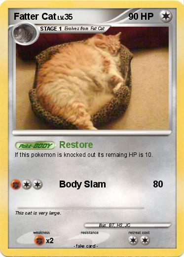 Pokemon Fatter Cat