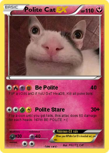 Pokemon Polite Cat