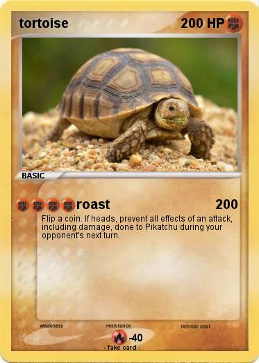 Pokemon tortoise
