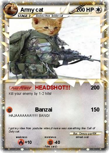 Pokemon Army cat