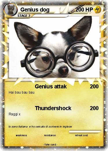 Pokemon Genius dog