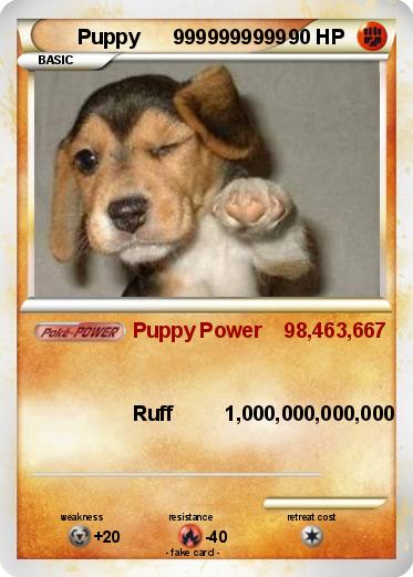 Pokemon Puppy      9999999999