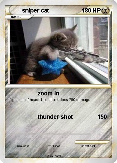 Pokemon sniper cat