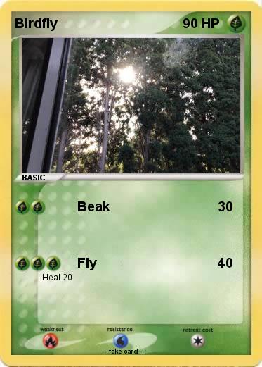 Pokemon Birdfly