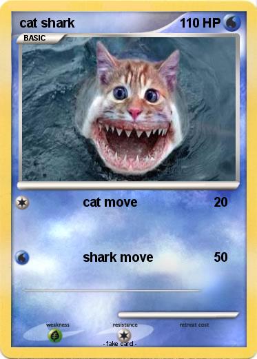 Pokemon cat shark