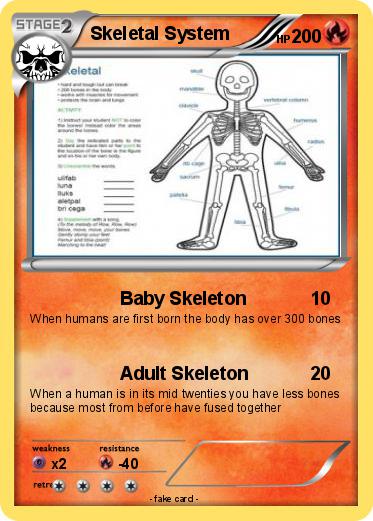 Pokemon Skeletal System