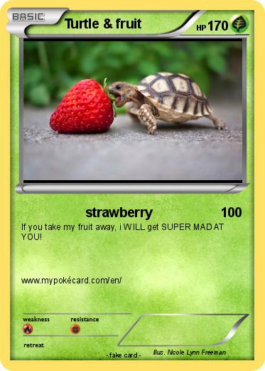 Pokemon Turtle & fruit
