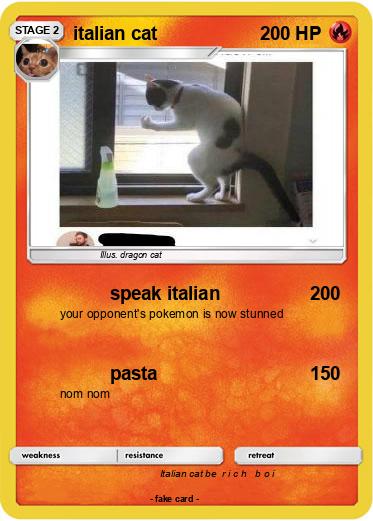 Pokemon italian cat